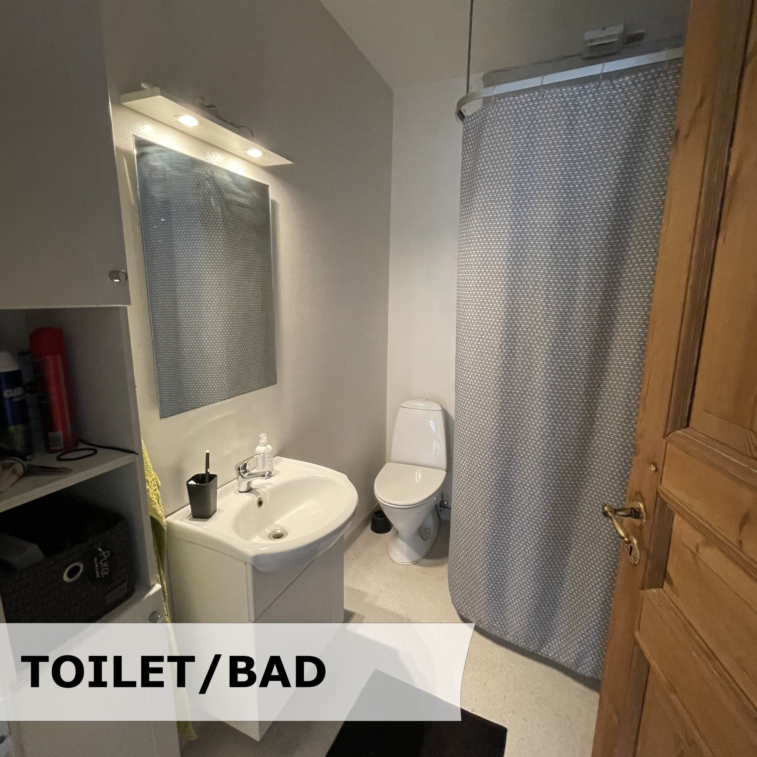 bad-toilet